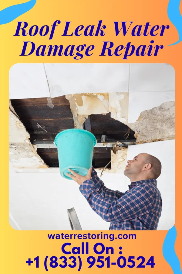 Roof Leak Water Damage Repair in Hawley, TX